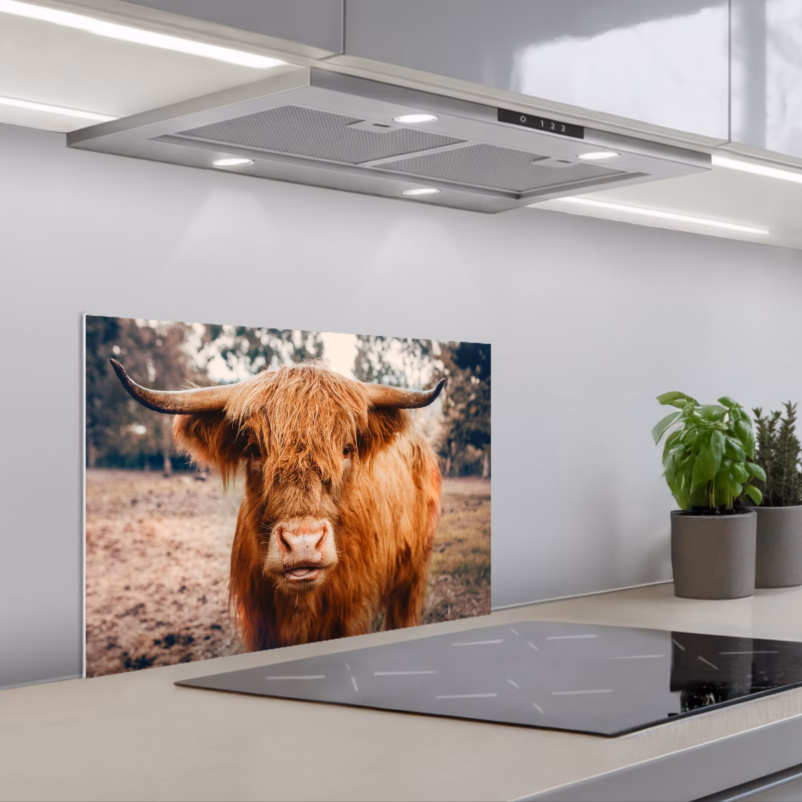 Kitchen splashback for hob - Cow - Scottish highlander - Horns - Brown - Landscape — 1