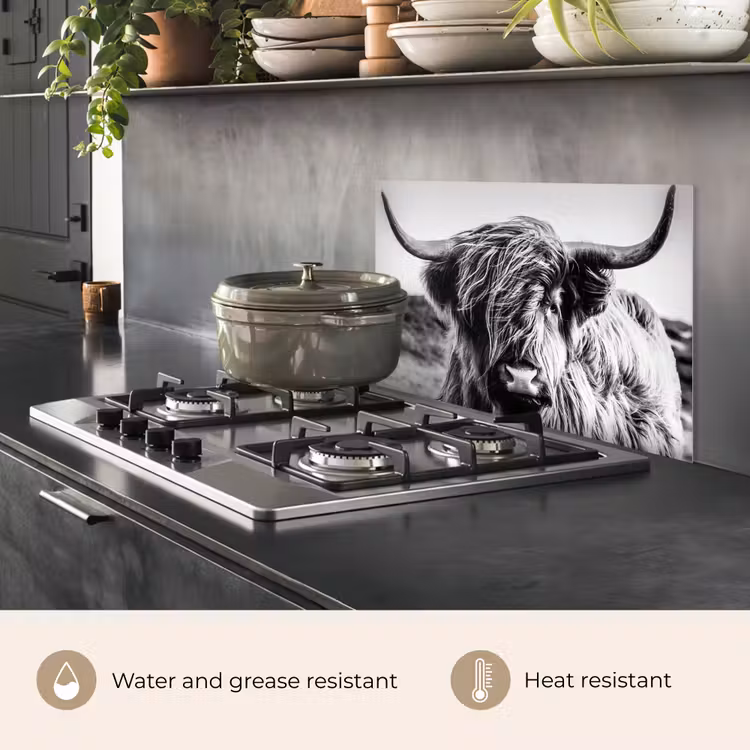 Kitchen splashback for hob - Cow - Scottish highlander - Black - White - Animal - Nature - Wildlife — 2