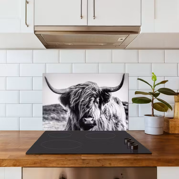 Kitchen splashback for hob - Cow - Scottish highlander - Black - White - Animal - Nature - Wildlife — 3