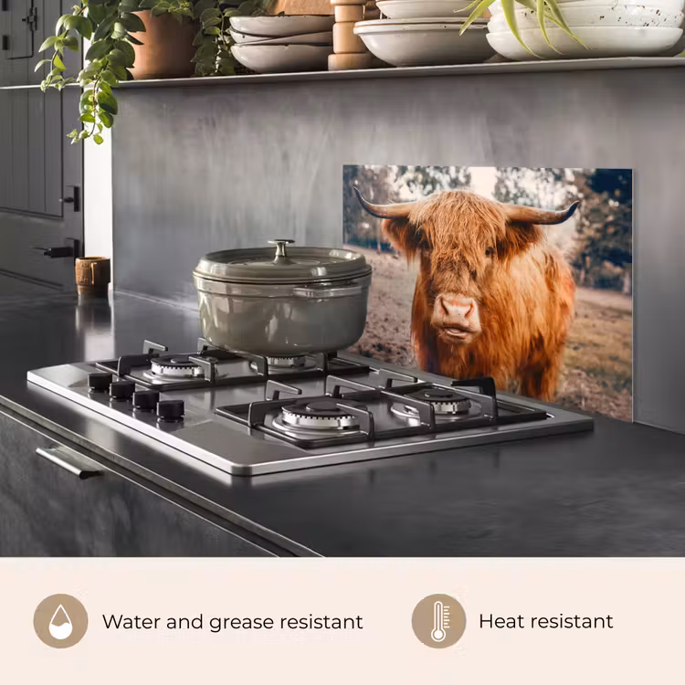 Kitchen splashback for hob - Cow - Scottish highlander - Horns - Brown - Landscape — 2