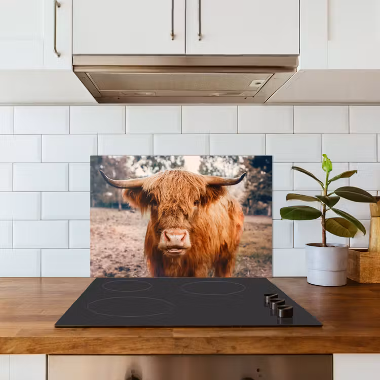 Kitchen splashback for hob - Cow - Scottish highlander - Horns - Brown - Landscape — 3