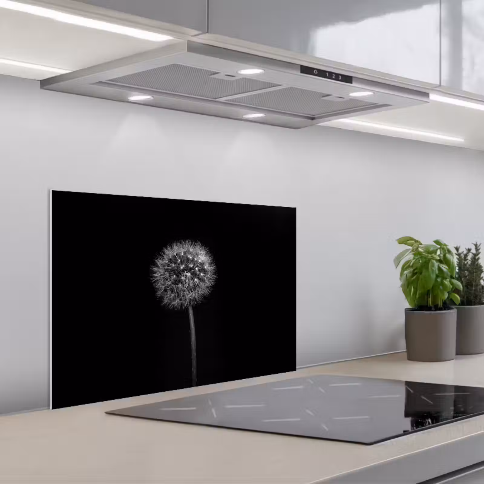 Kitchen splashback for hob - Dandelion - Black - Floral - Botanical — 1