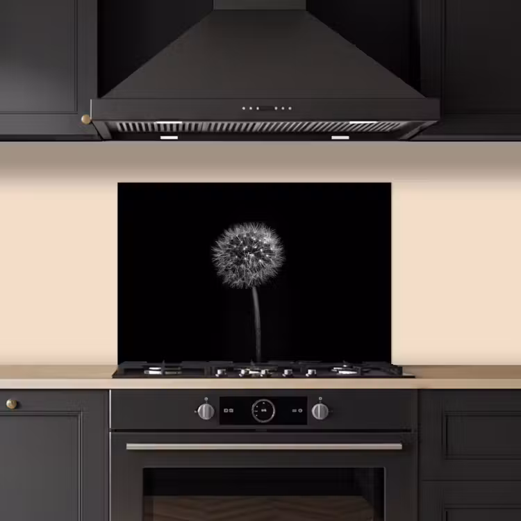 Kitchen splashback for hob - Dandelion - Black - Floral - Botanical — 5