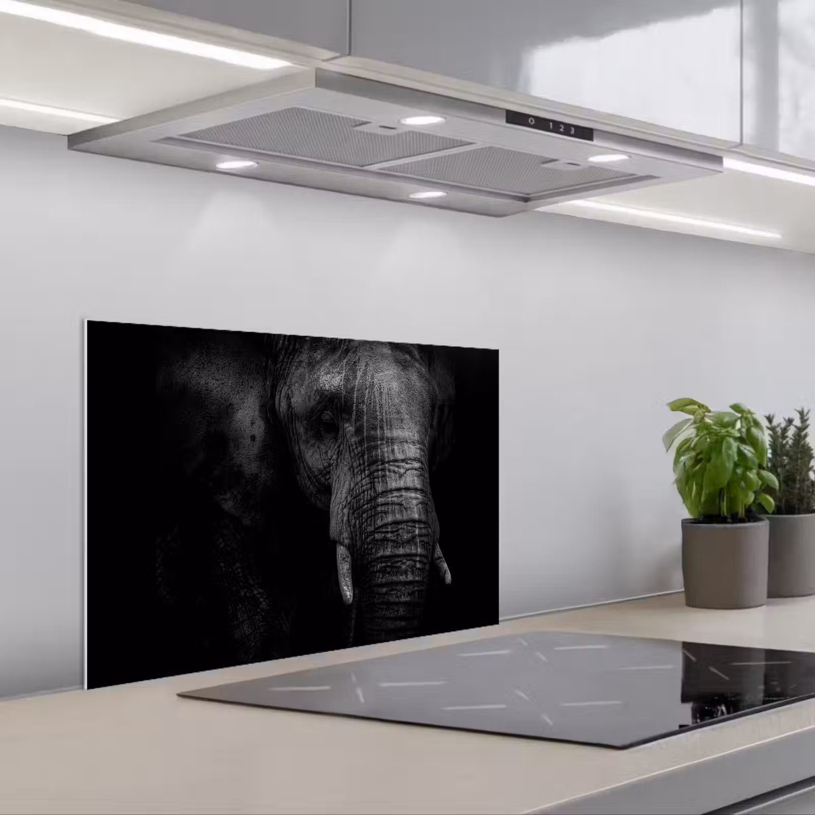 Kitchen splashback for hob - Elephant - Animal - Portrait — 1