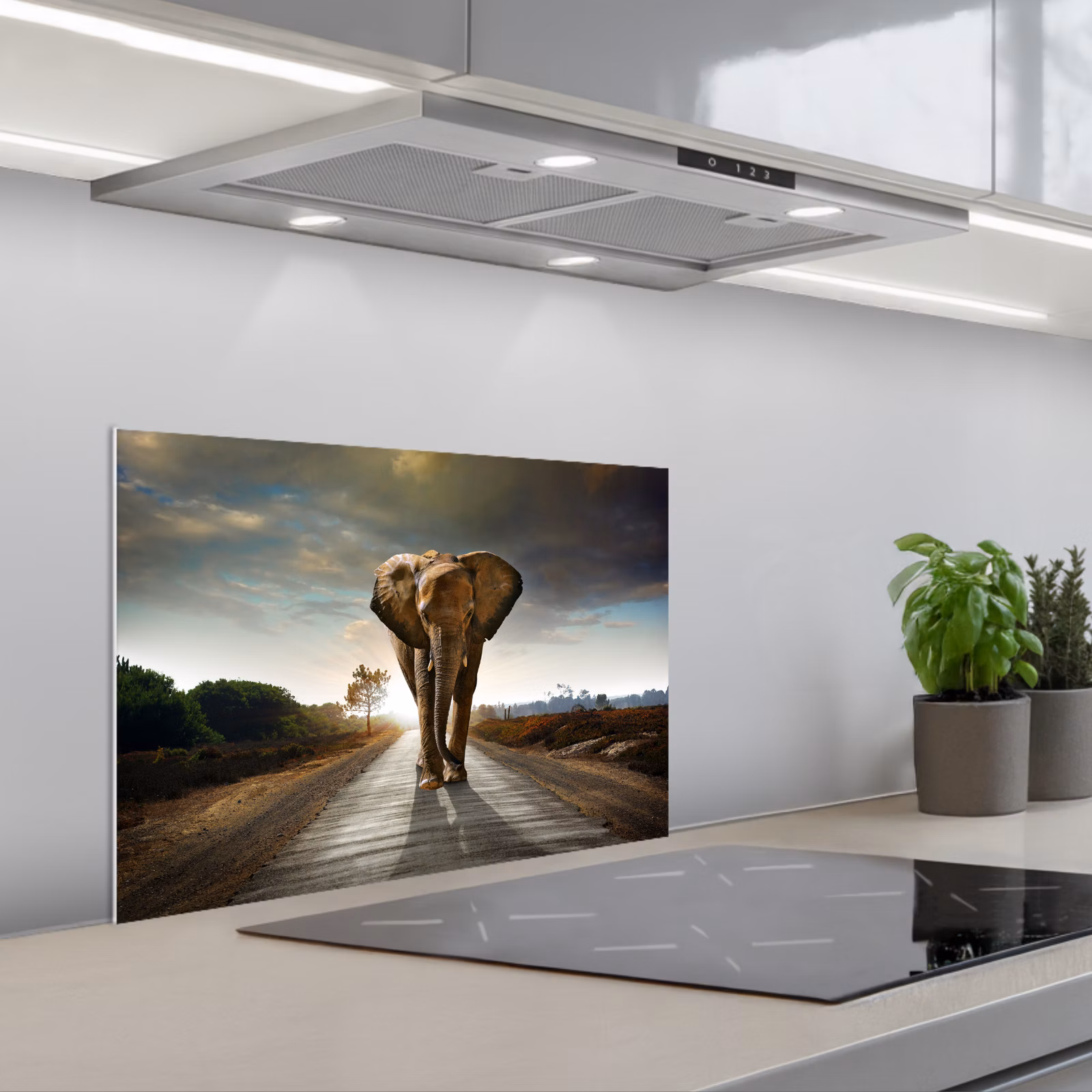 Kitchen splashback for hob - Elephant - Road - Animals - Sunset - Landscape — 1
