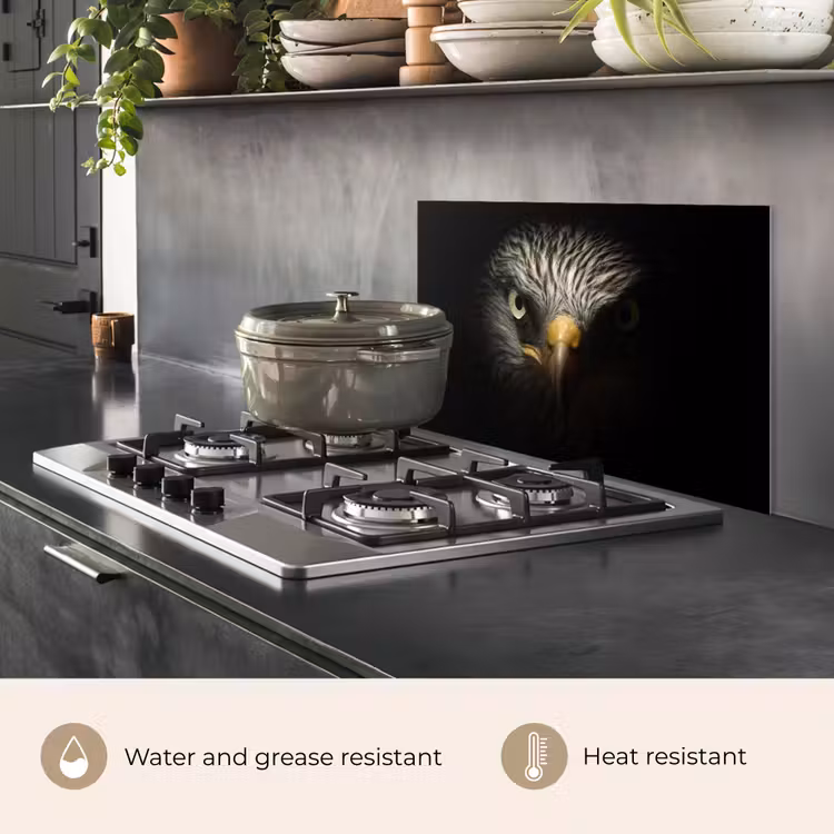 Kitchen splashback for hob - Bird - Eagle - Birds of prey - Eye - Beak - Light — 2