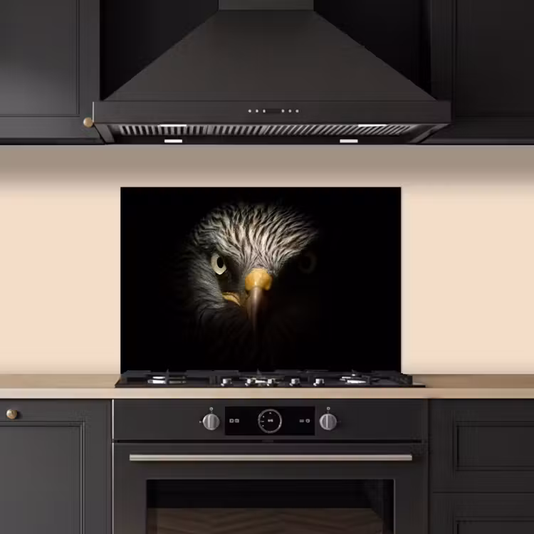 Kitchen splashback for hob - Bird - Eagle - Birds of prey - Eye - Beak - Light — 5