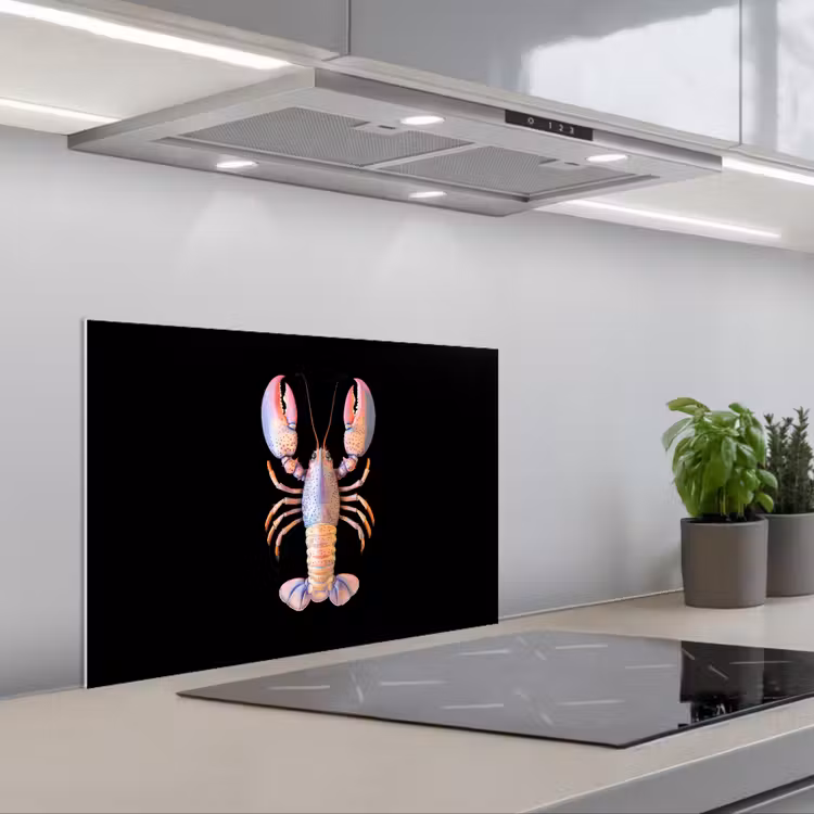 Kitchen splashback for hob - Cancer - Pink - Soft - Black — 1