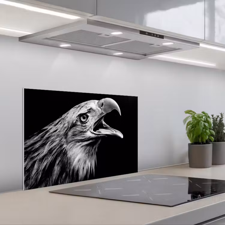 Kitchen splashback for hob - Eagle - Portrait - Birds of prey - Black - White - Bird — 1