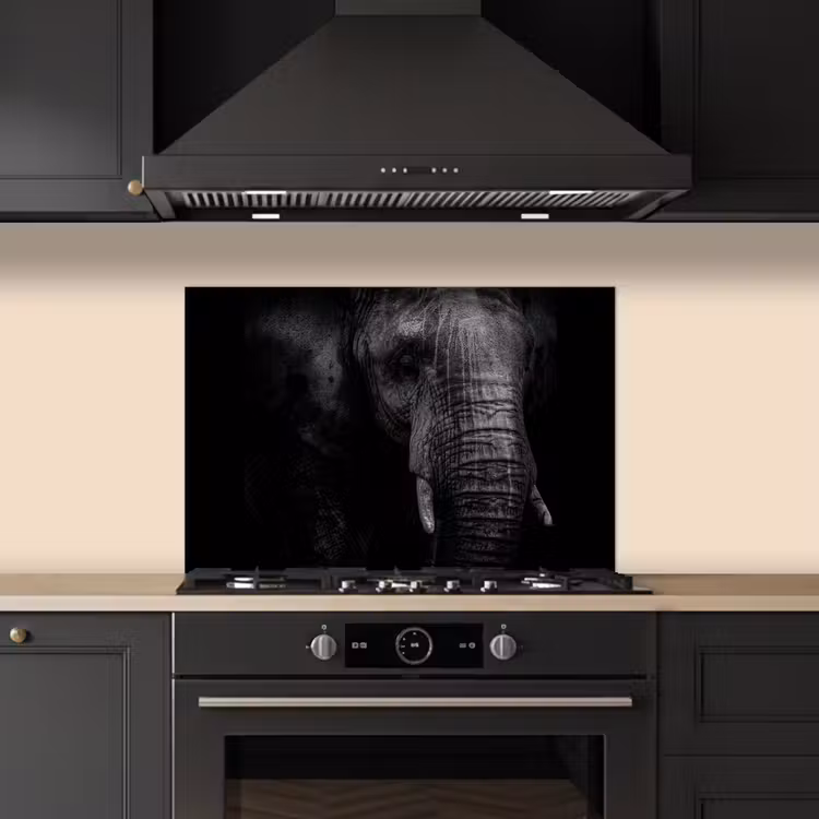 Kitchen splashback for hob - Elephant - Animal - Portrait — 5