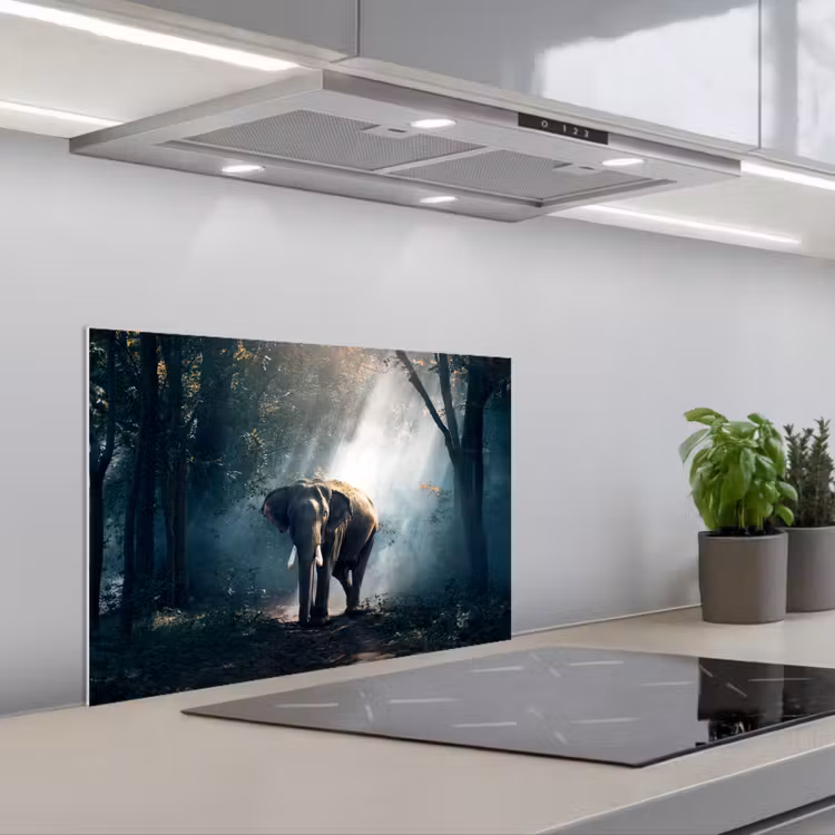 Kitchen splashback for hob - Elephant - Animals - Light - Forest - Nature - Wildlife — 1