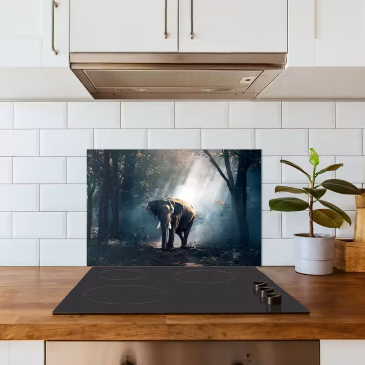 Kitchen splashback for hob - Elephant - Animals - Light - Forest - Nature - Wildlife — 3