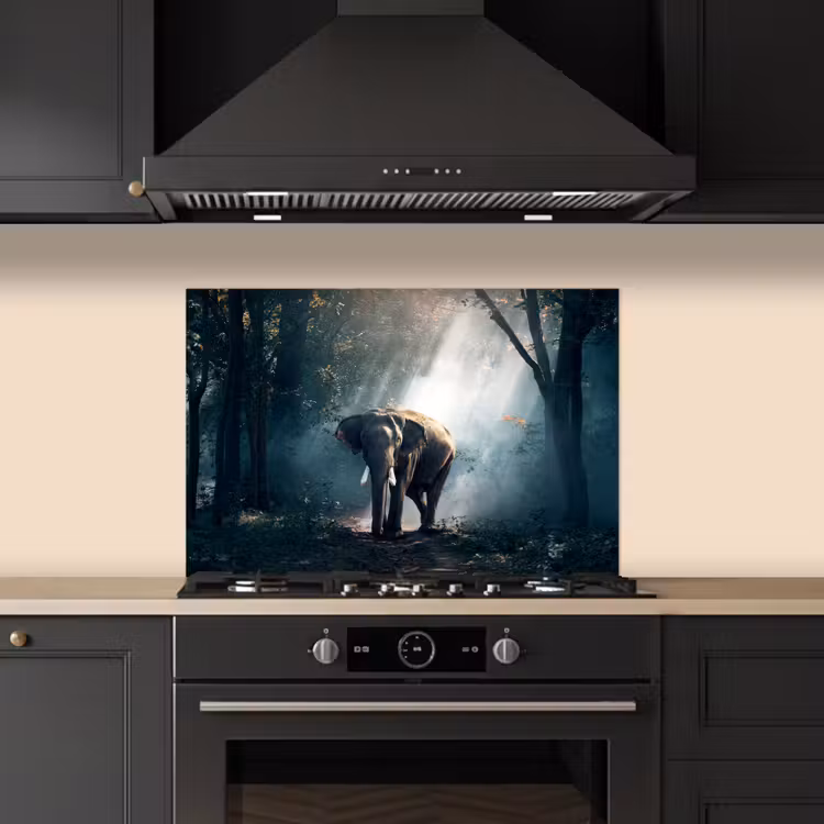 Kitchen splashback for hob - Elephant - Animals - Light - Forest - Nature - Wildlife — 5
