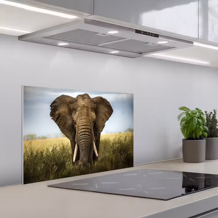 Kitchen splashback for hob - Elephant - Nature - Grass - Animals - Landscape — 1