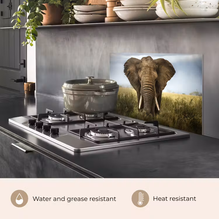 Kitchen splashback for hob - Elephant - Nature - Grass - Animals - Landscape — 2