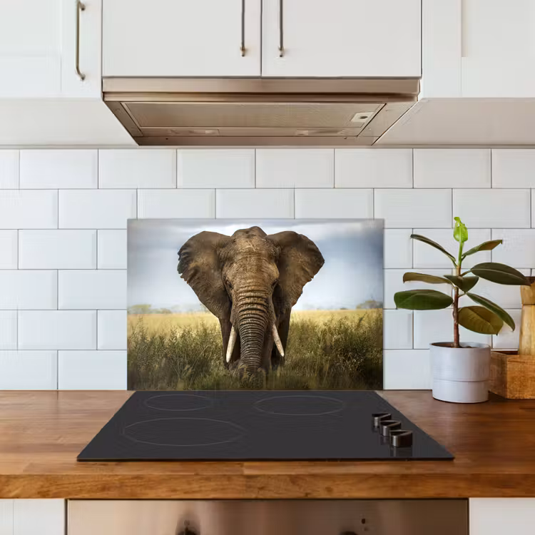 Kitchen splashback for hob - Elephant - Nature - Grass - Animals - Landscape — 3