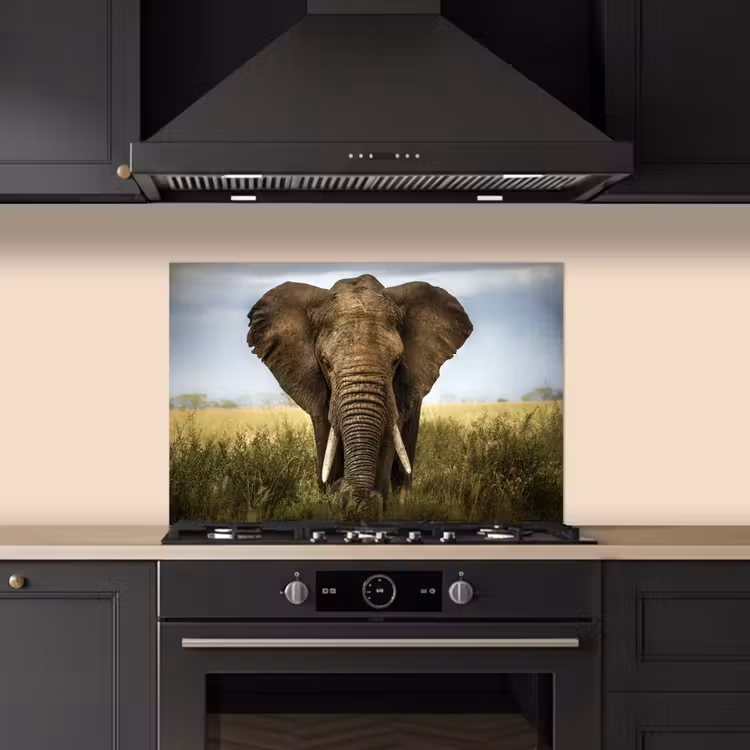 Kitchen splashback for hob - Elephant - Nature - Grass - Animals - Landscape — 5