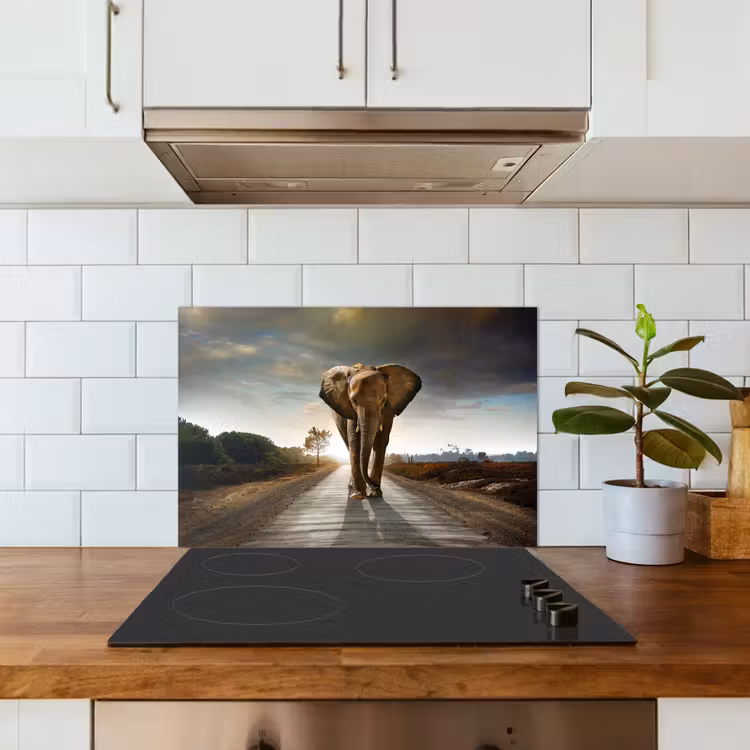 Kitchen splashback for hob - Elephant - Road - Animals - Sunset - Landscape — 3