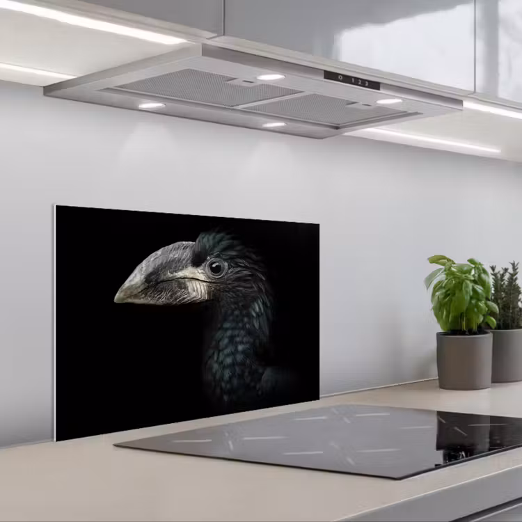 Kitchen splashback for hob - Bird - Portrait - Hornbill - Black - Animals — 1
