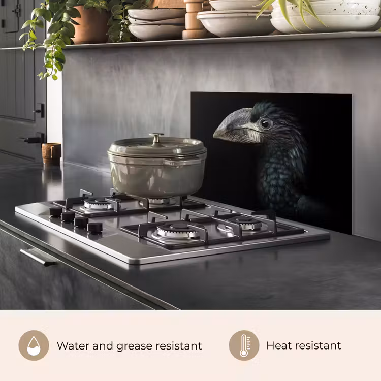 Kitchen splashback for hob - Bird - Portrait - Hornbill - Black - Animals — 2