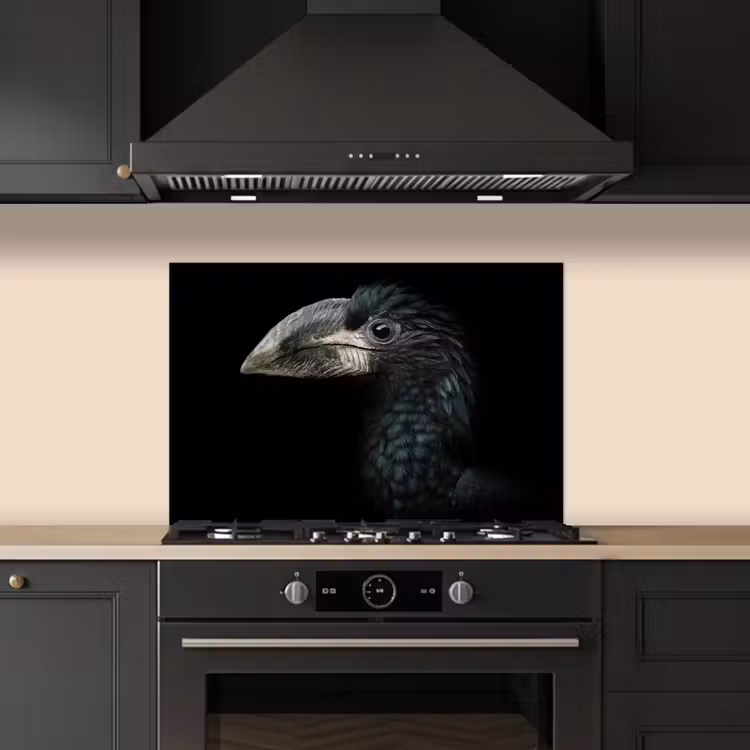 Kitchen splashback for hob - Bird - Portrait - Hornbill - Black - Animals — 5