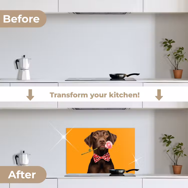 Kitchen splashback for hob - Dog - Orange - Rose - Valentine — 7