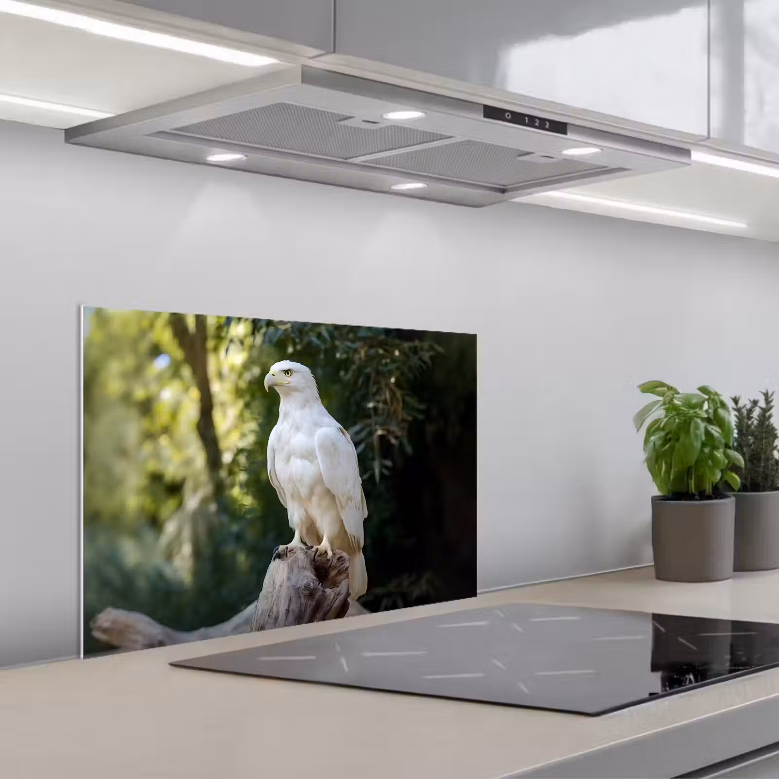 Kitchen splashback for hob - Eagle - Wood - White - Plants — 1