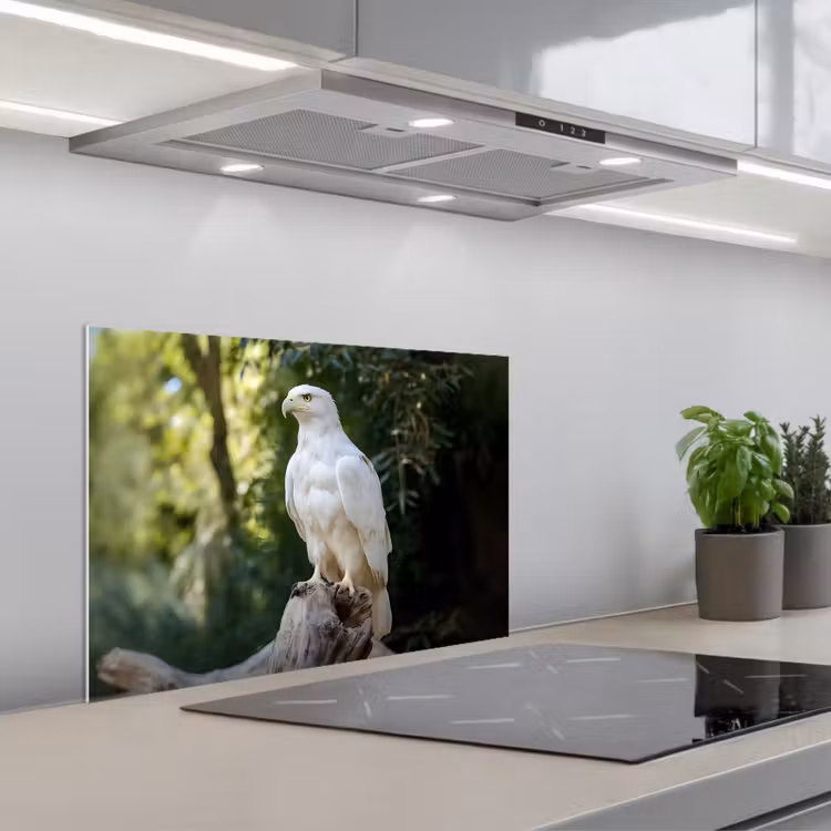 Kitchen splashback for hob - Eagle - Wood - White - Plants — 1