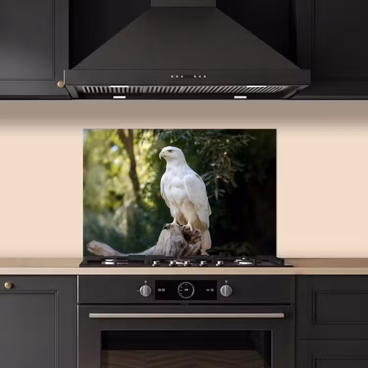 Kitchen splashback for hob - Eagle - Wood - White - Plants — 5
