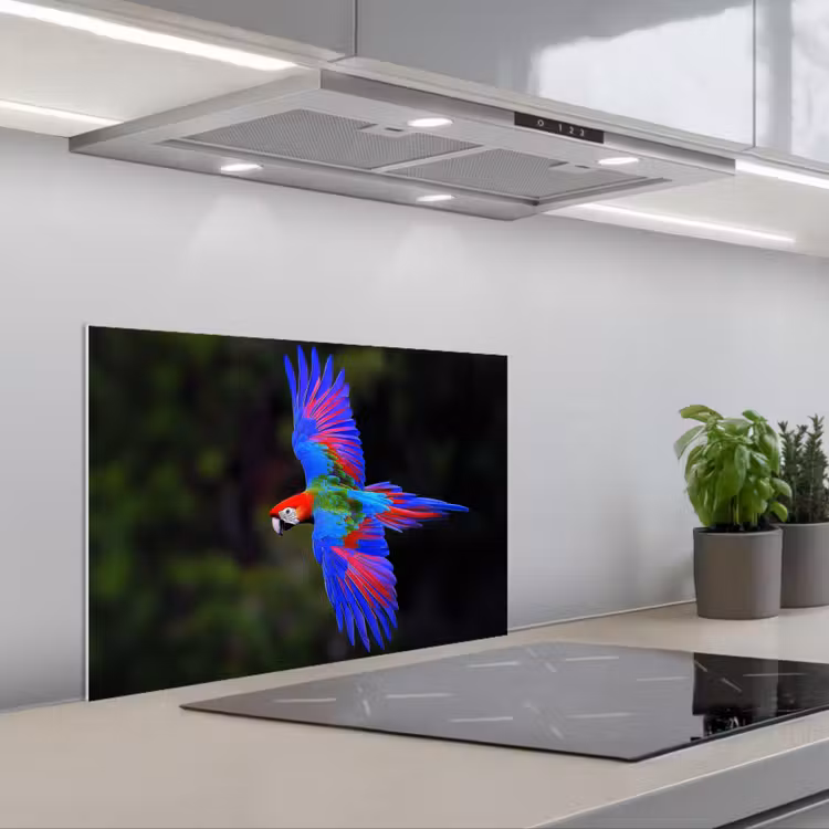 Kitchen splashback for hob - Brightly colored - Parrot - Forest - Wings — 1