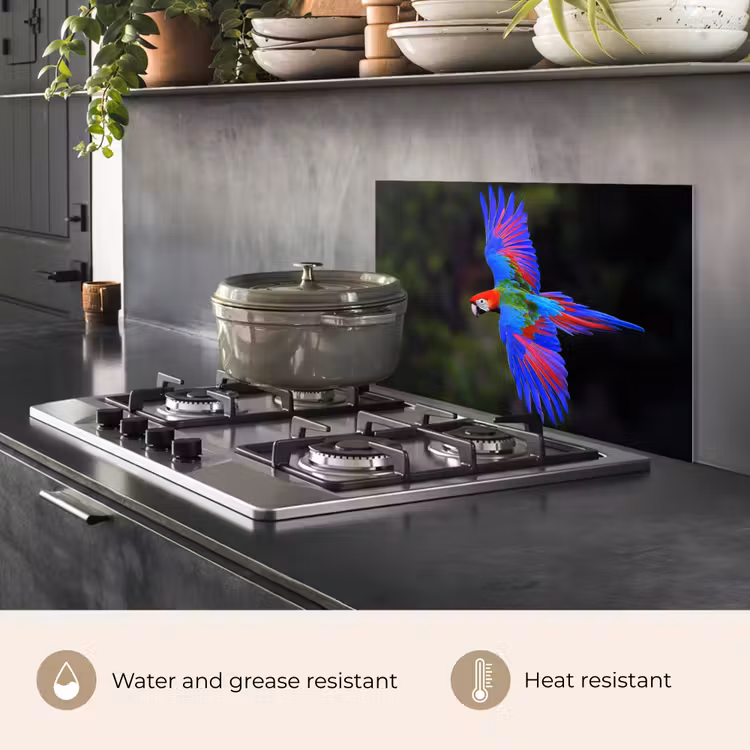 Kitchen splashback for hob - Brightly colored - Parrot - Forest - Wings — 2