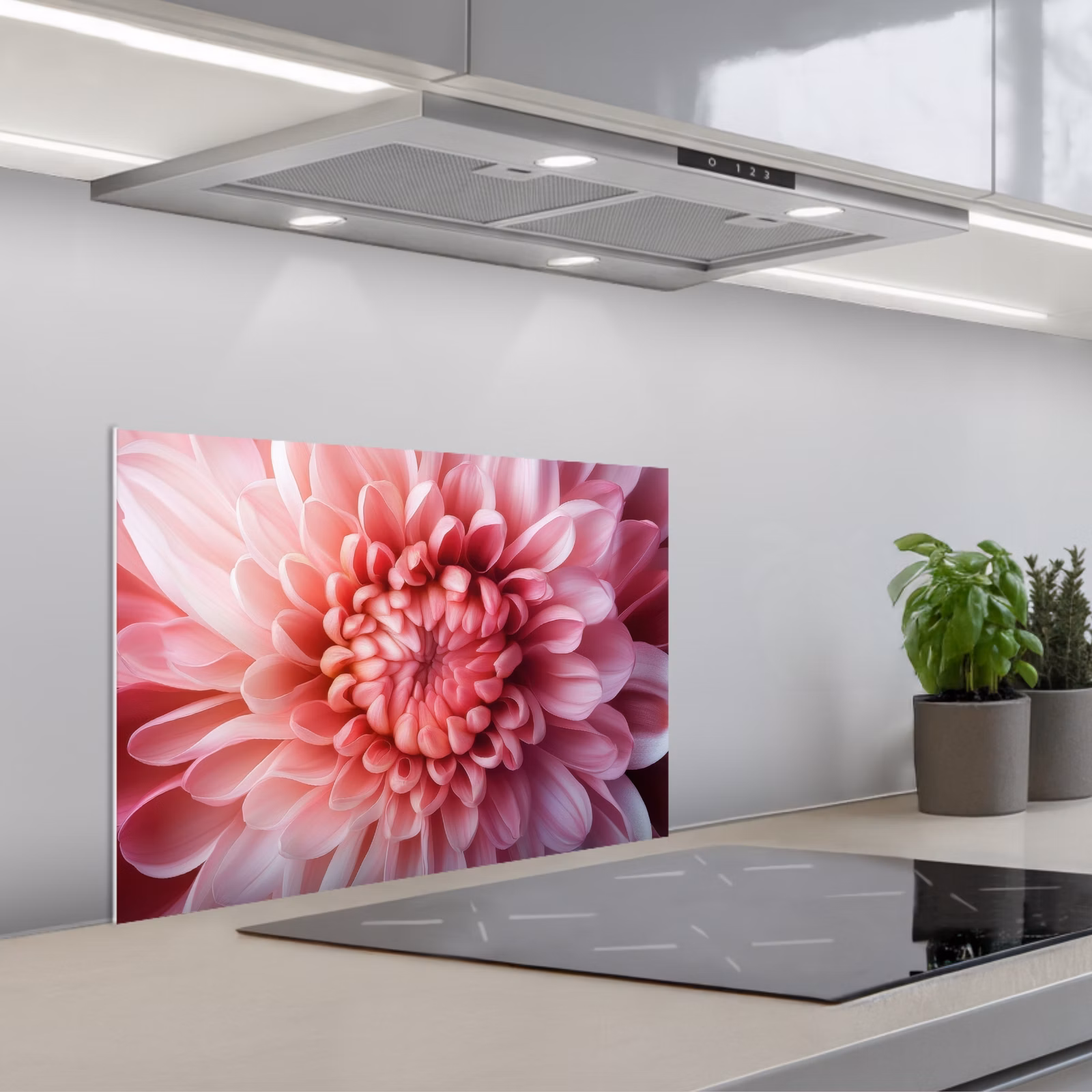 Kitchen splashback for hob - Dahlia - Flower - Close up - Pink — 1