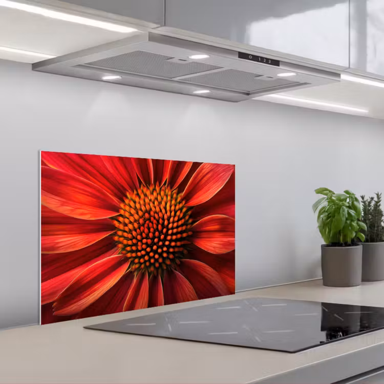 Kitchen splashback for hob - Close up - Flower- Red — 1