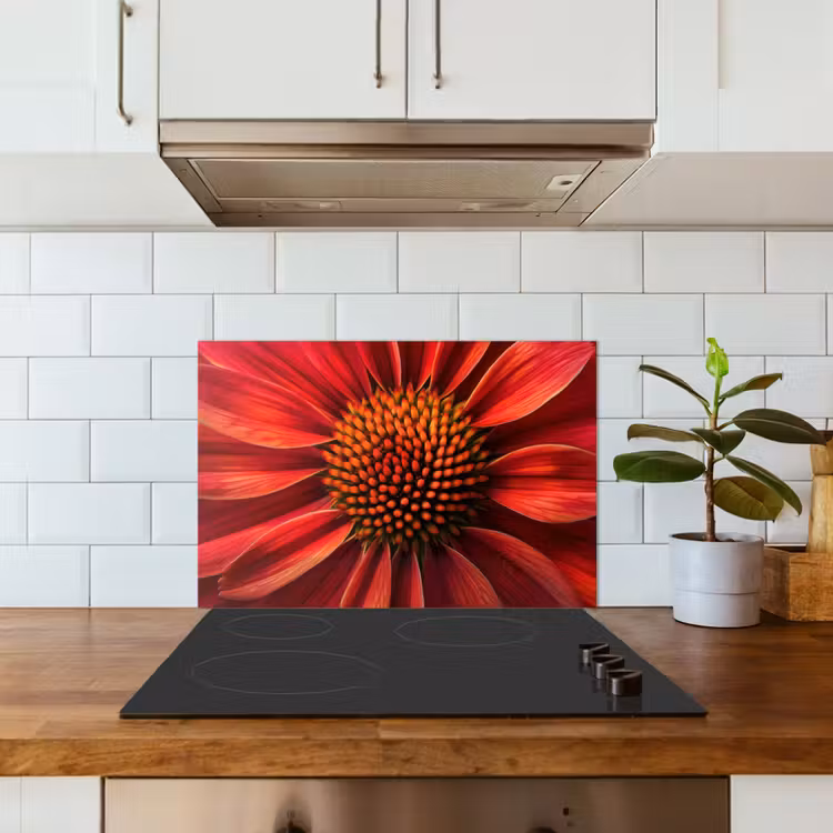 Kitchen splashback for hob - Close up - Flower- Red — 3
