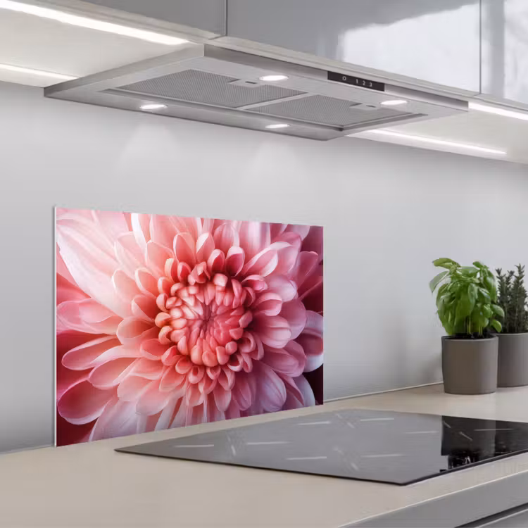 Kitchen splashback for hob - Dahlia - Flower - Close up - Pink — 1
