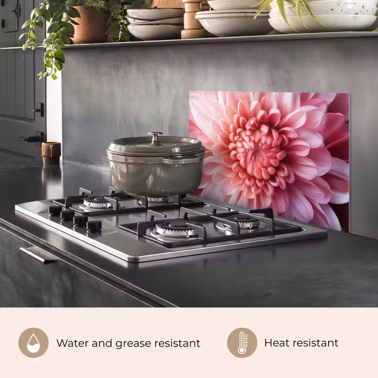 Kitchen splashback for hob - Dahlia - Flower - Close up - Pink — 2