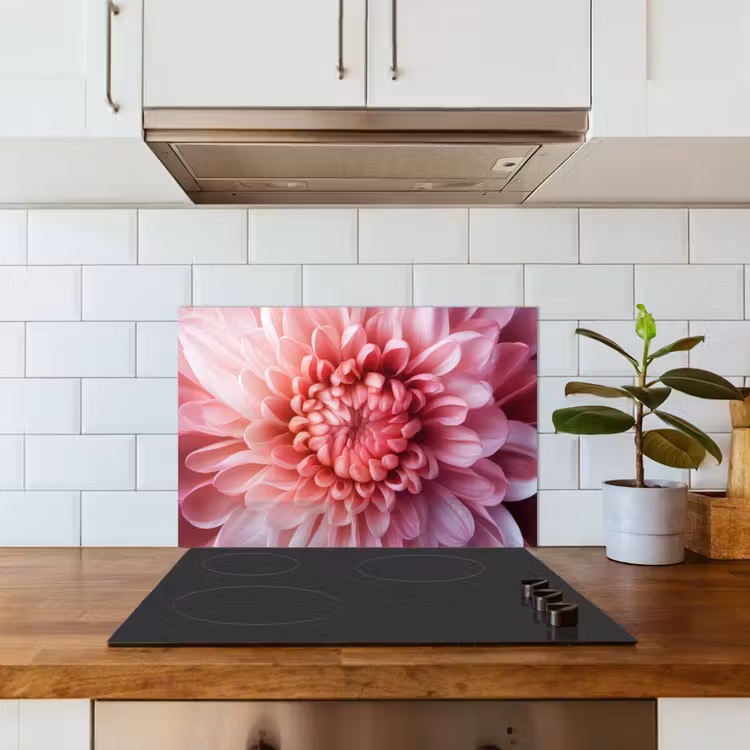 Kitchen splashback for hob - Dahlia - Flower - Close up - Pink — 3