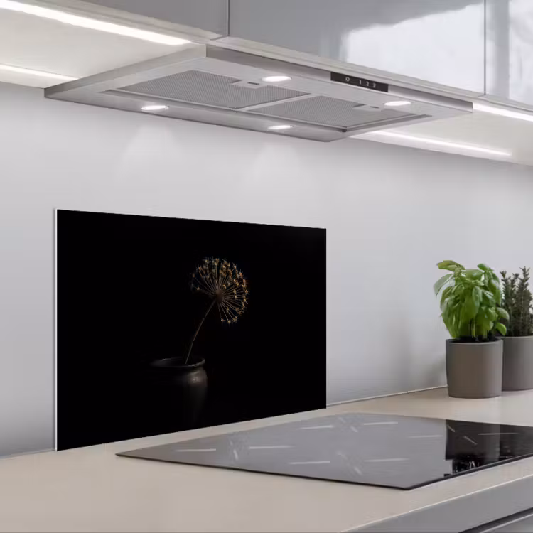 Kitchen splashback for hob - Bulb - Dried - Vase - Black — 1