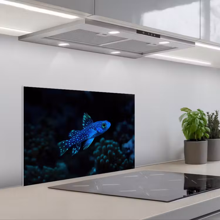 Kitchen splashback for hob - Fish - Dots - Coral - Blue — 1