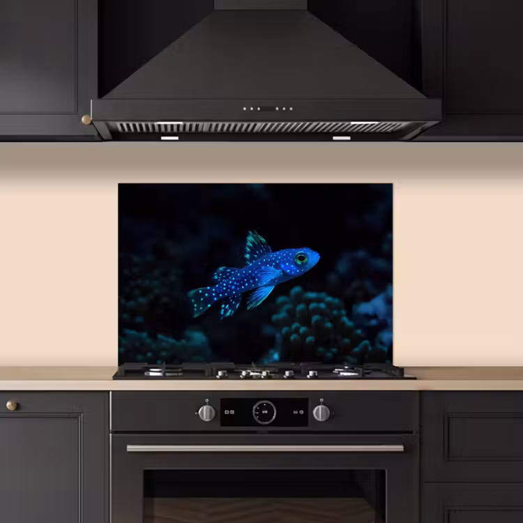 Kitchen splashback for hob - Fish - Dots - Coral - Blue — 5