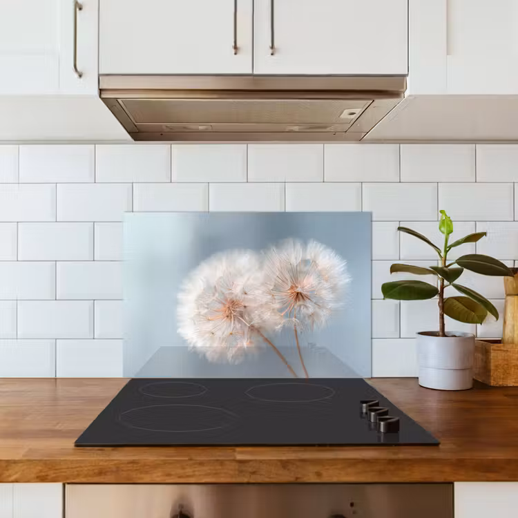 Kitchen splashback for hob - Dandelions - Fluffy - White — 3