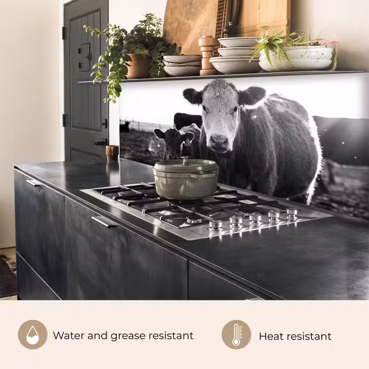 Kitchen splashback - Cows - Black - White — 5