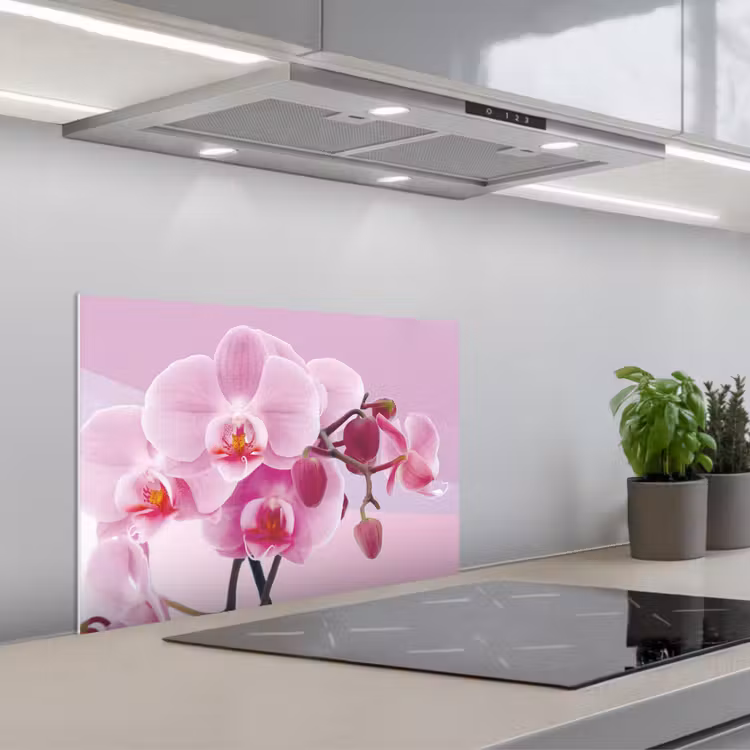 Kitchen splashback for hob - Flowers - Orchid - Pink — 1