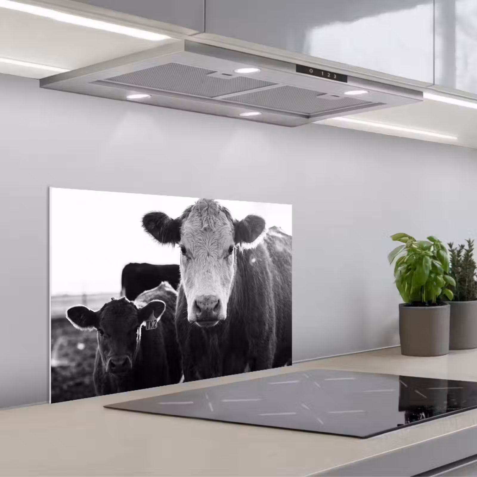 Kitchen splashback for hob - Cows - Black - White — 1