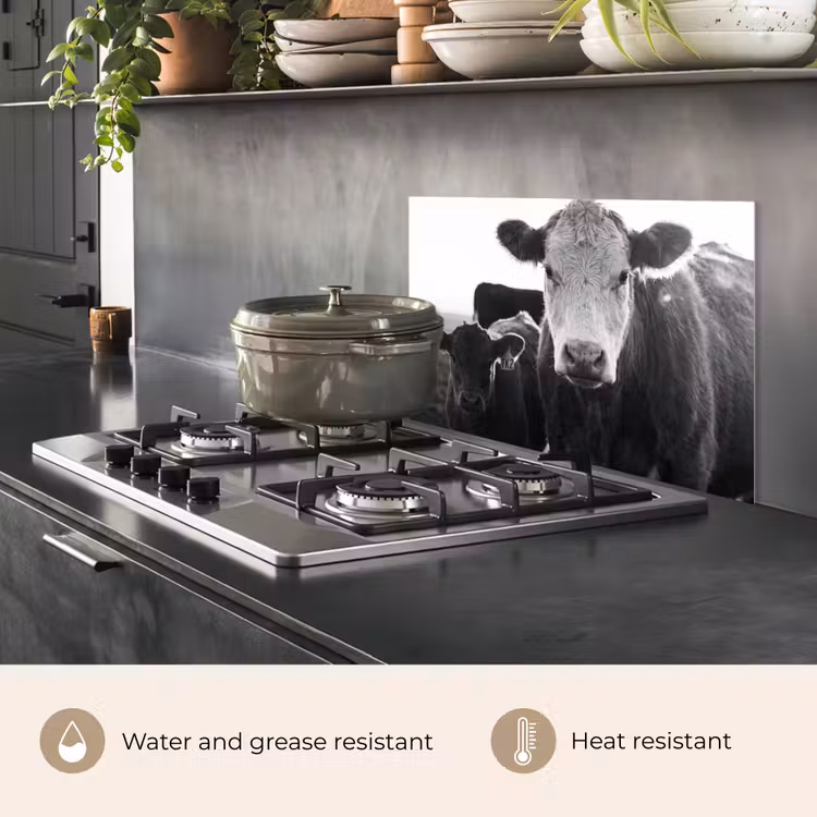 Kitchen splashback for hob - Cows - Black - White — 2
