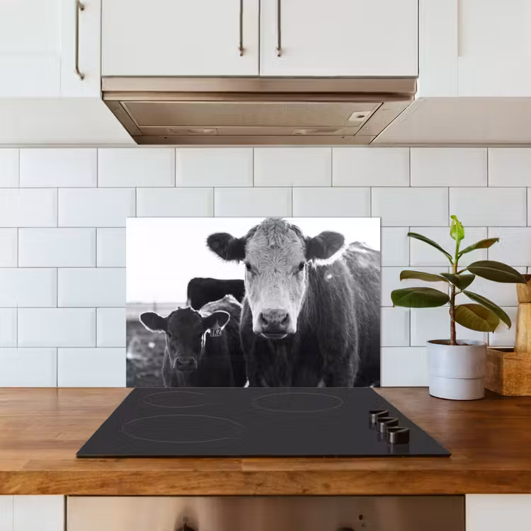 Kitchen splashback for hob - Cows - Black - White — 3