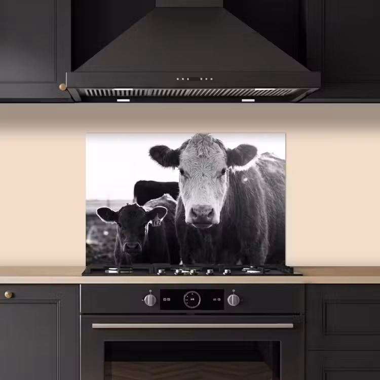 Kitchen splashback for hob - Cows - Black - White — 5