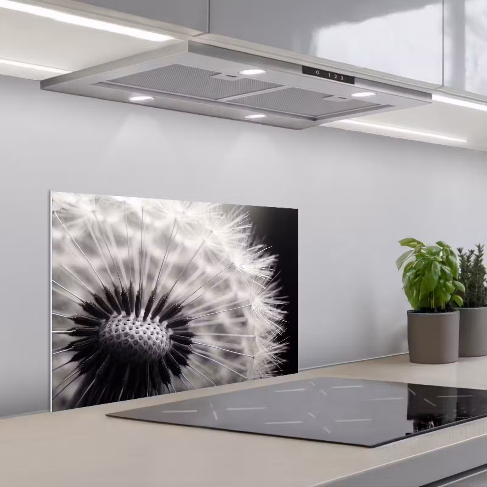 Kitchen splashback for hob - Dandelion - Black - White — 1