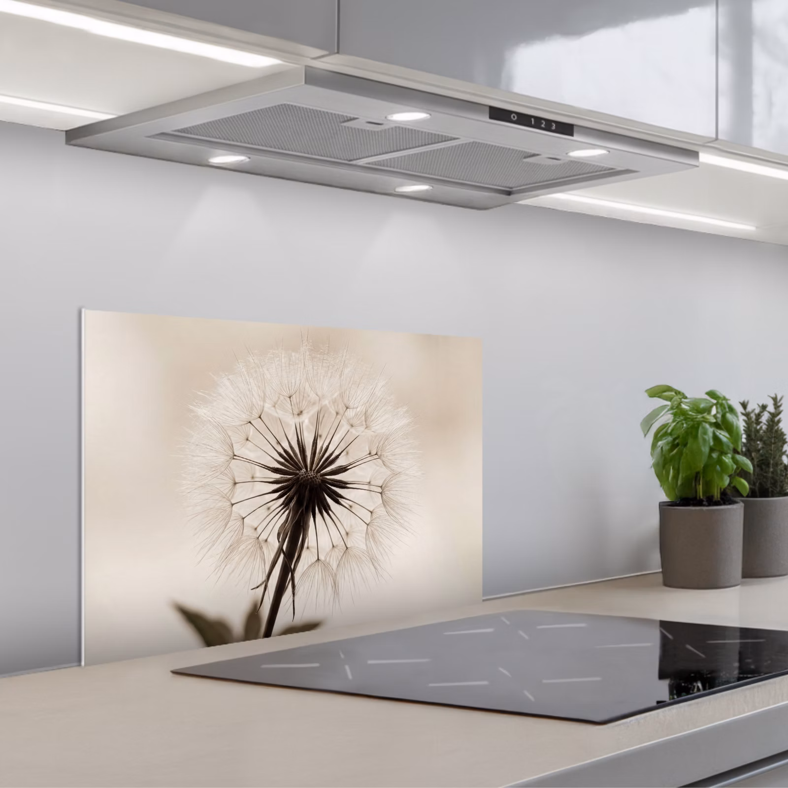 Kitchen splashback for hob - Dandelion - Minimalist - White — 1