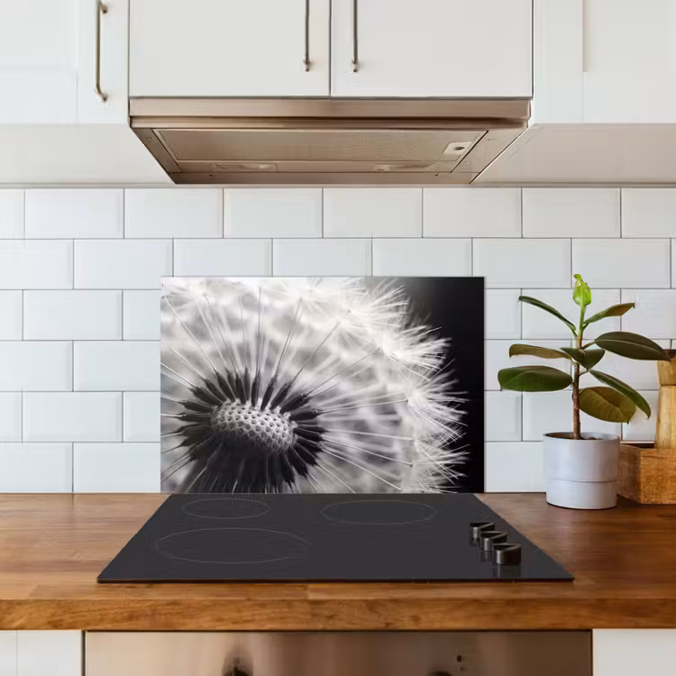 Kitchen splashback for hob - Dandelion - Black - White — 3